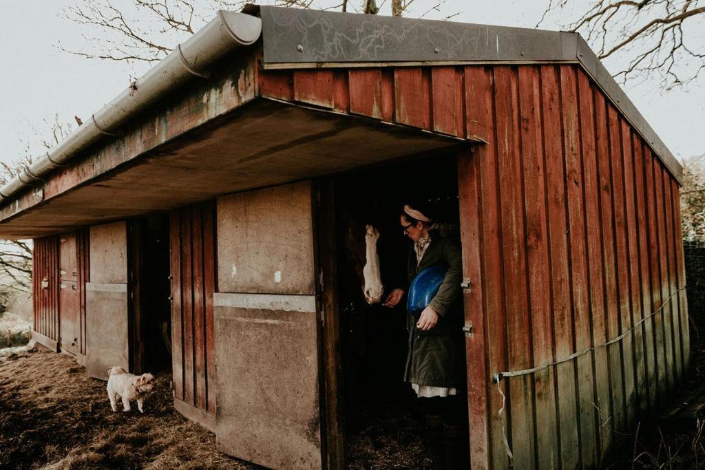 Higher Trewithen Stithians Екстериор снимка